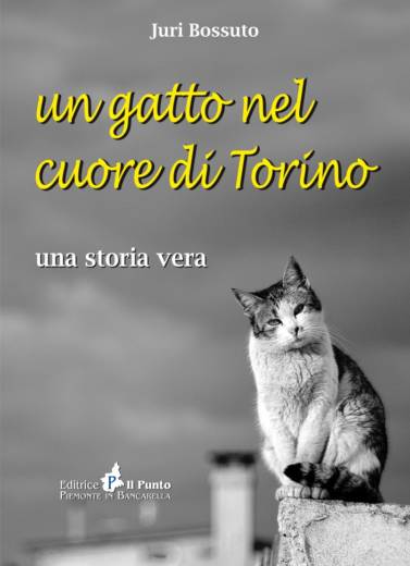 UN GATTO NEL CUORE DI TORINO