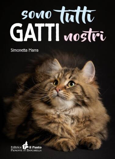 SONO TUTTI GATTI NOSTRI LIBRO SUI GATTI