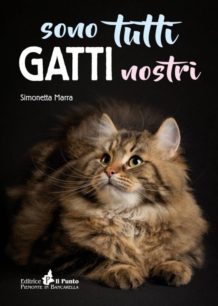 SONO TUTTI GATTI NOSTRI LIBRO SUI GATTI