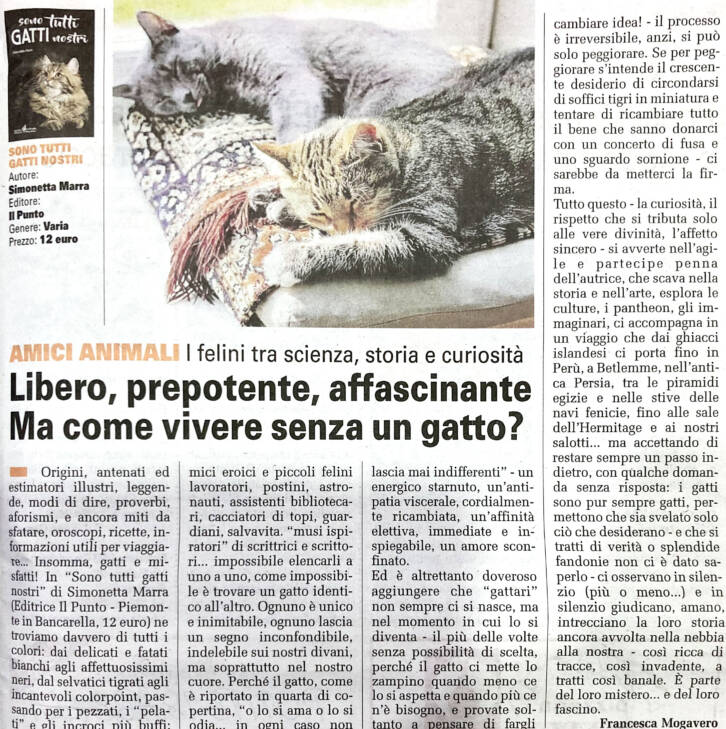 SONO TUTTI GATTI NOSTRI